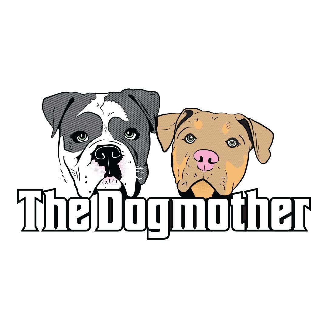 The Dogmother grooming Morley