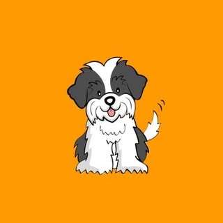 Wag Tails Grooming Studio