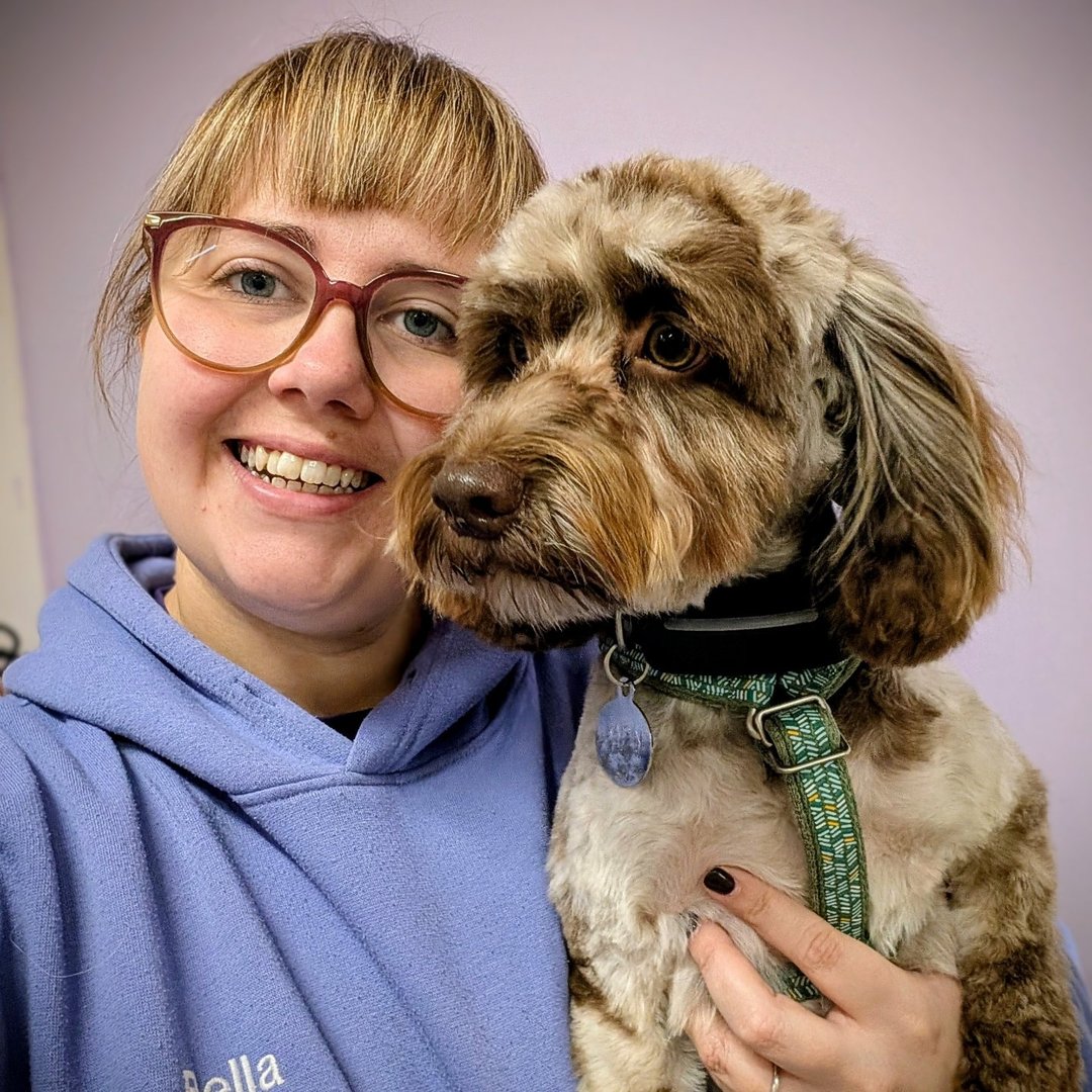 Waggy Tails Dog Spa & Services
