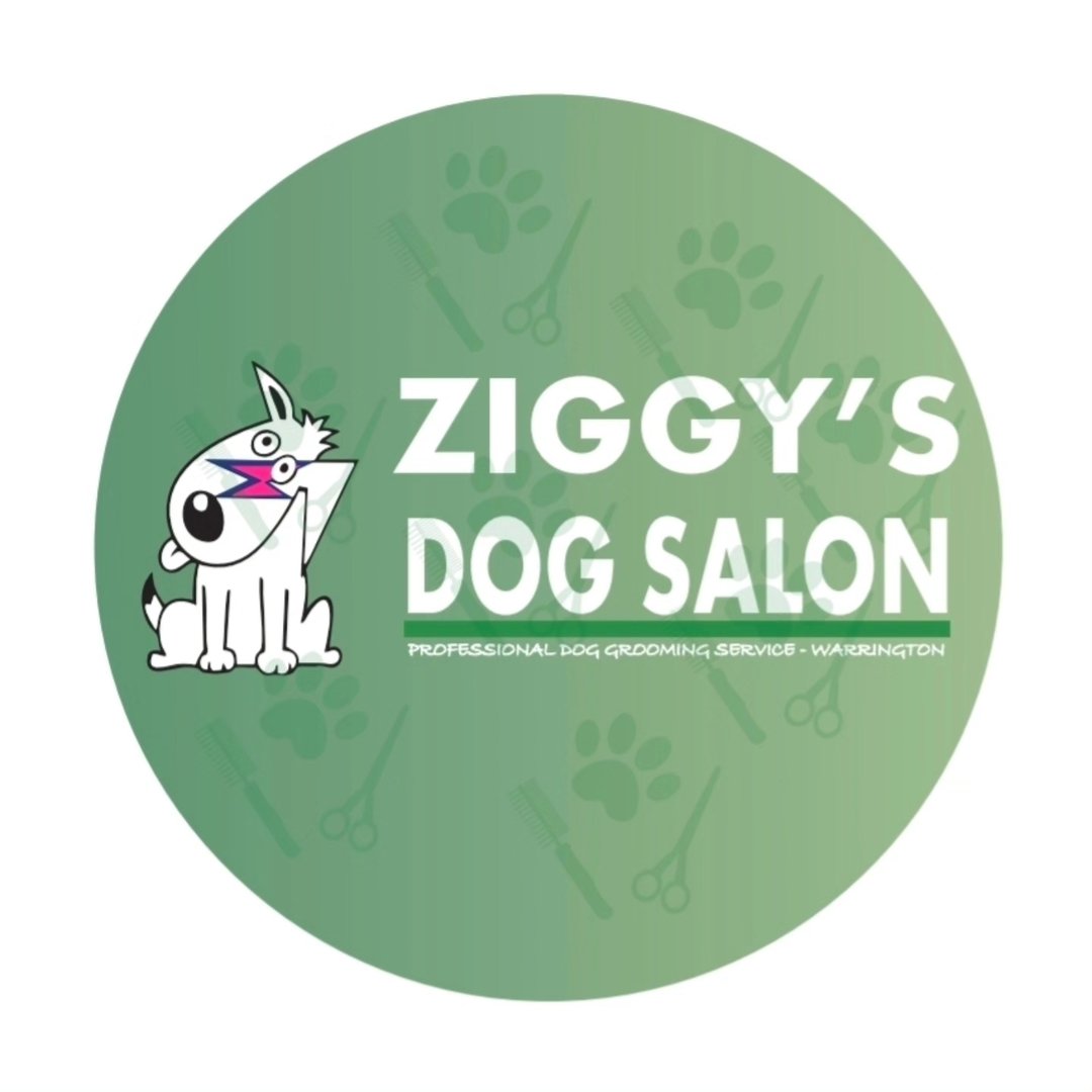 Ziggys Dog Salon