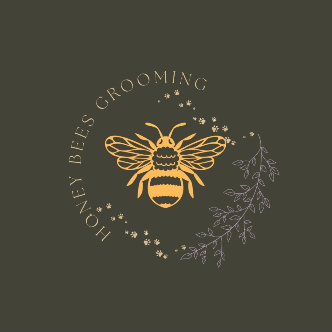 Honey Bees Grooming