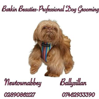 Barkin Beauties