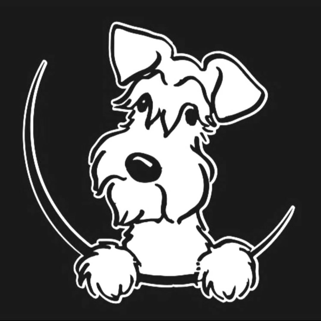 Barking Mad Dog Groomers