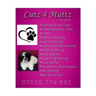 Cutz 4 Muttz and Self Service Dog Wash