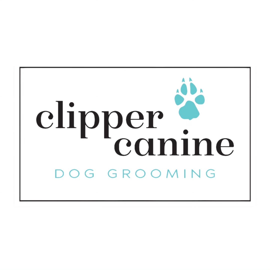 Clipper canine - Dog grooming