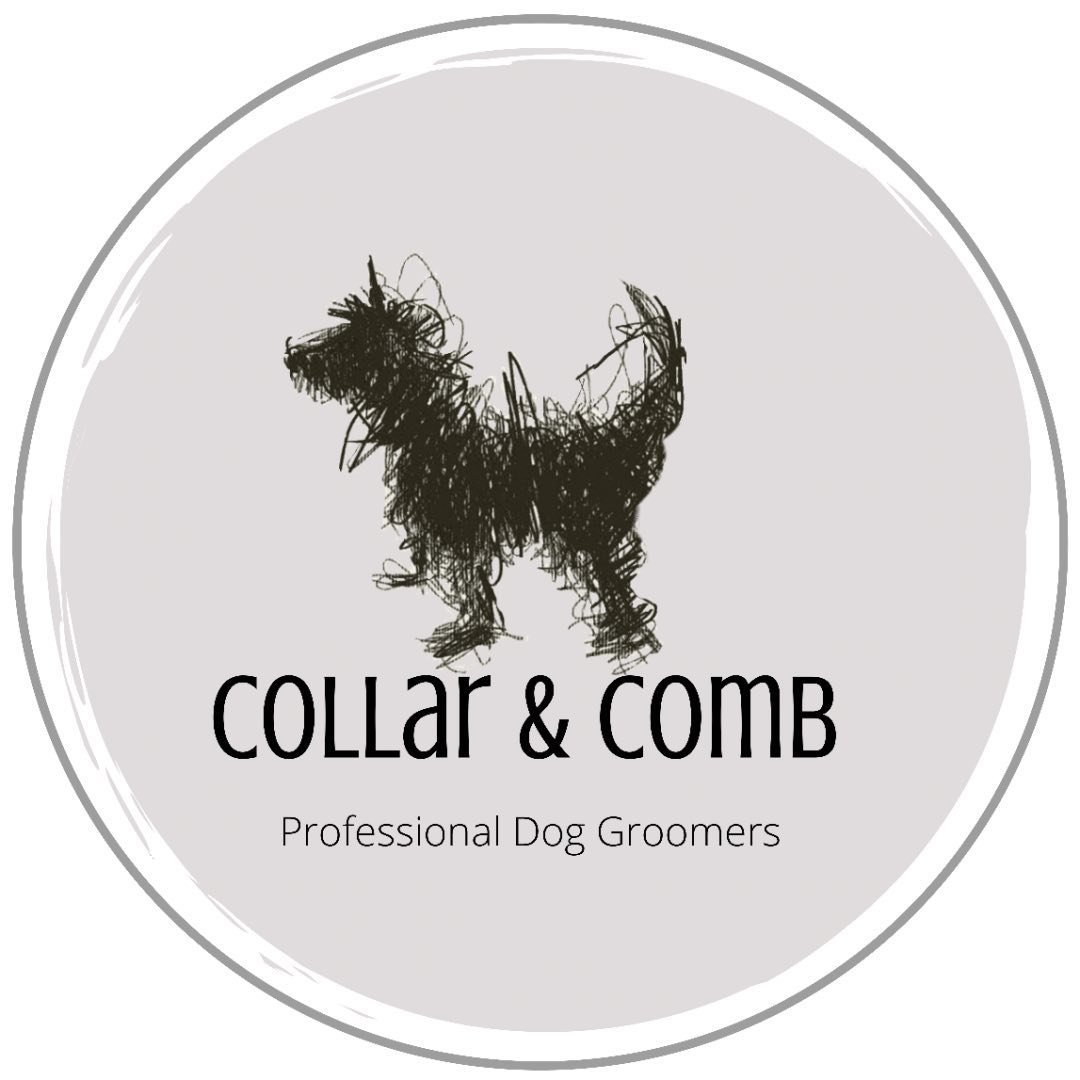 Collar and Comb Ltd