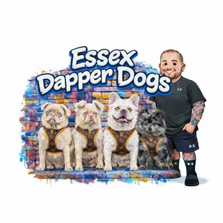 Dapper Dogs