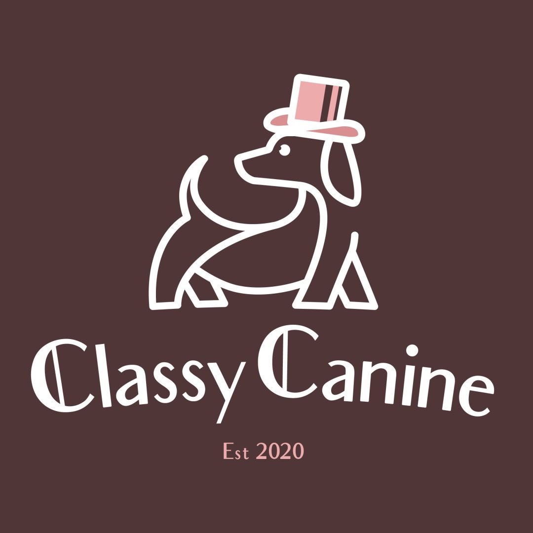 Classy Canine