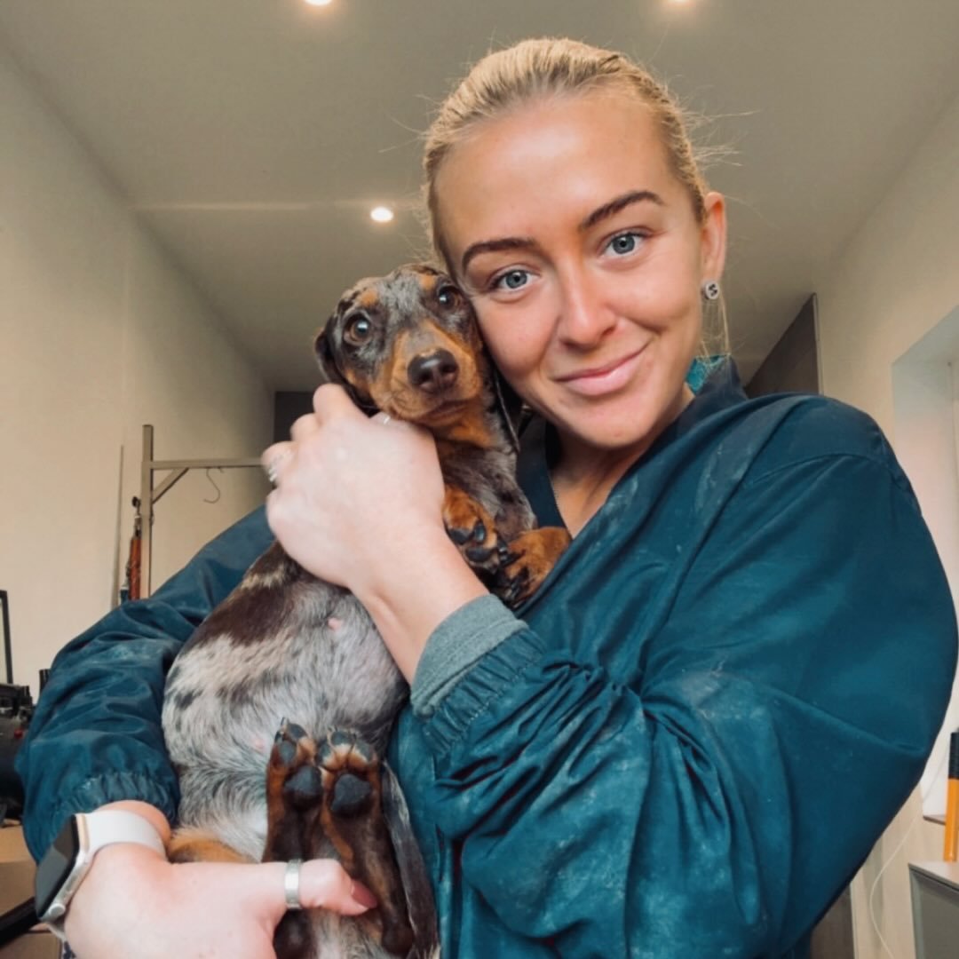 DogRuffGroomers