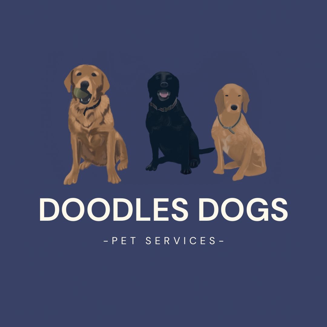 Doodles Dogs