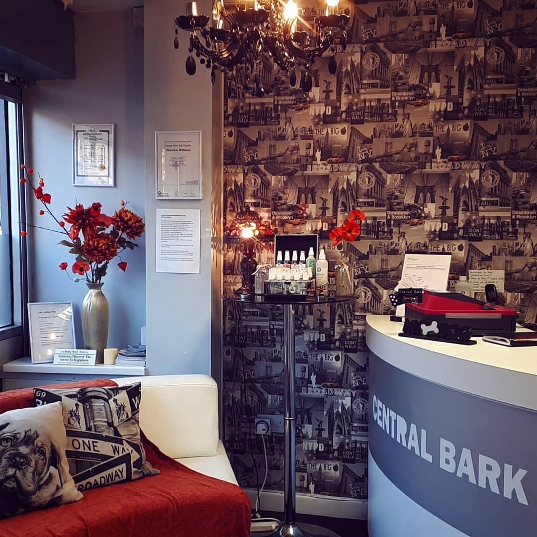 Central Bark