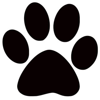 Four paws and I grooming salon