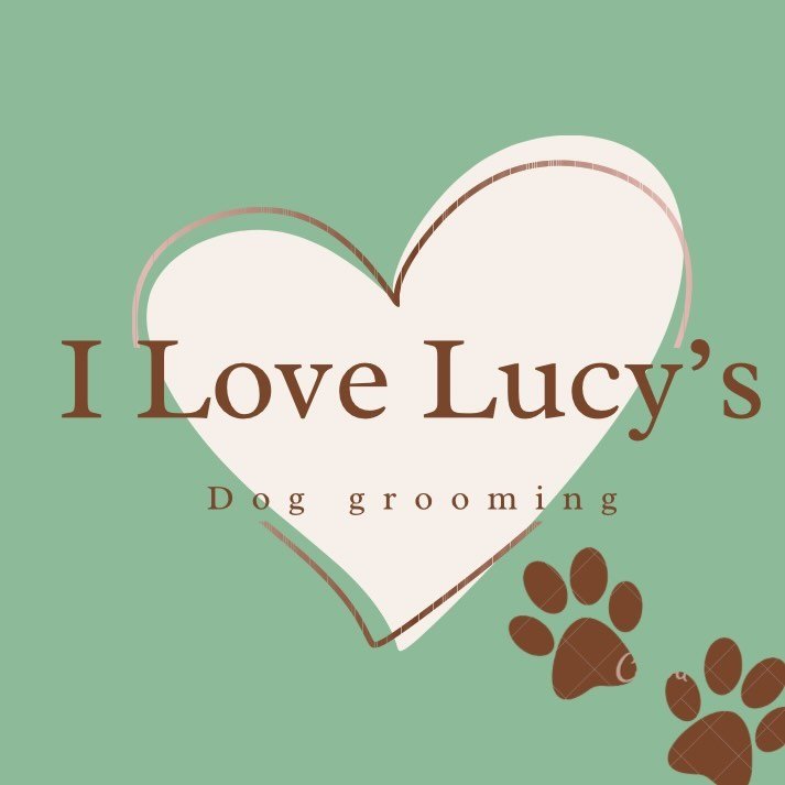 I Love Lucy’s Dog Grooming