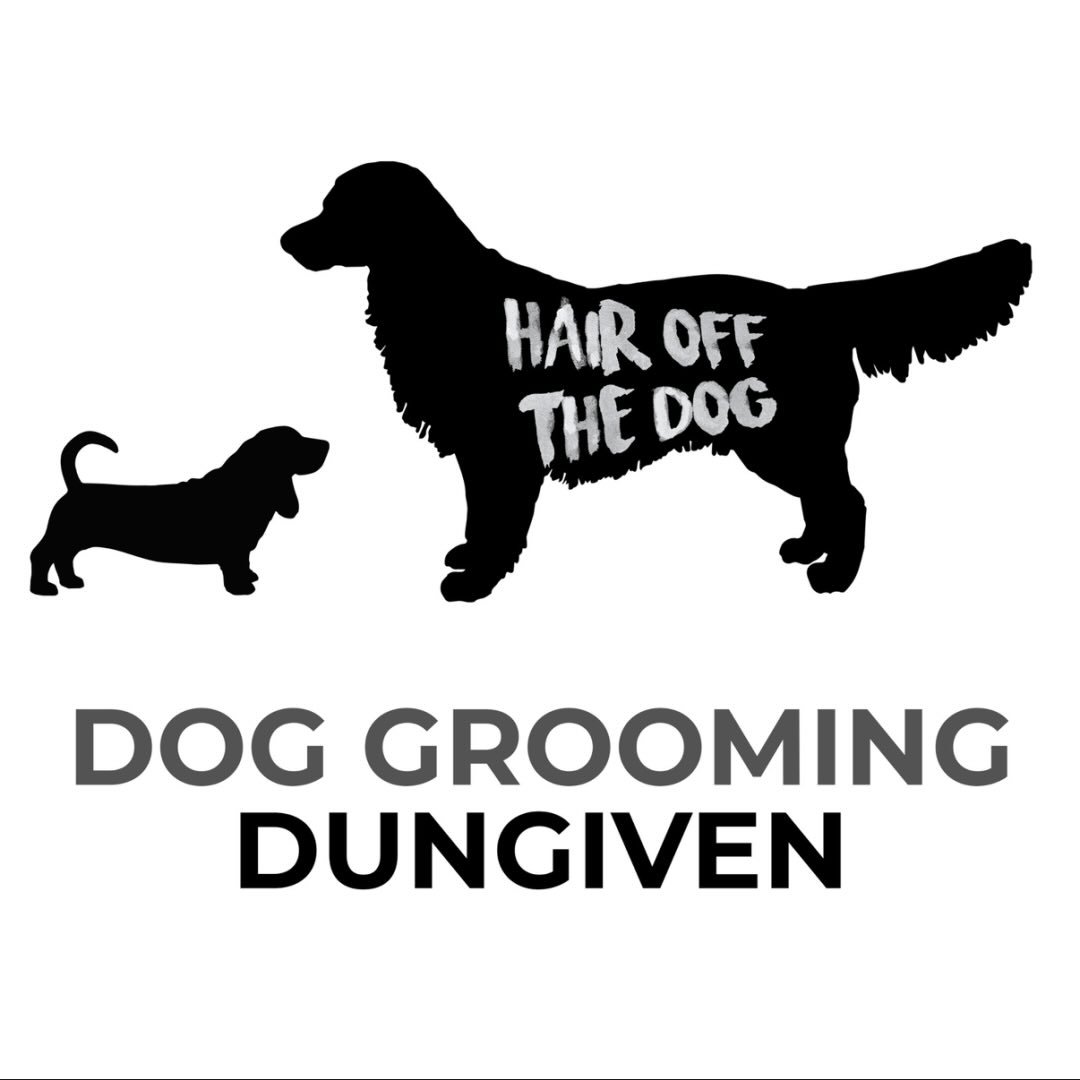 Hair Off The Dog Dungiven