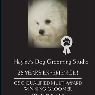 Hayley's Dog Grooming