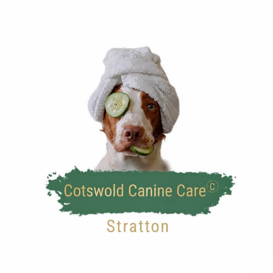 Cotswold Canine Care Stratton