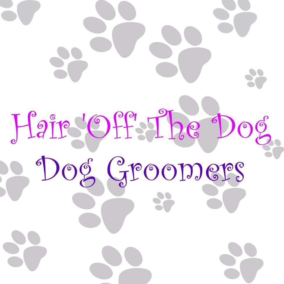 Hair Off The Dog Longwell Green Bristol