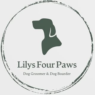 Lily's Four Paws