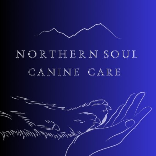 NORTHERN SOUL CANINE CARE