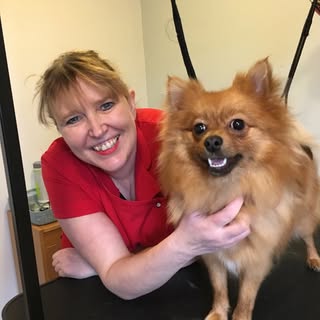Mucky Pups Dog Grooming Service