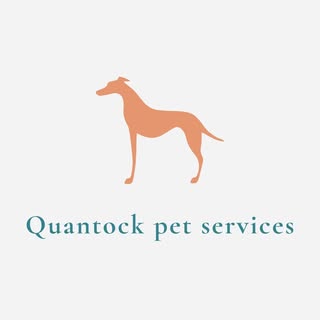 Quantock Grooming Room