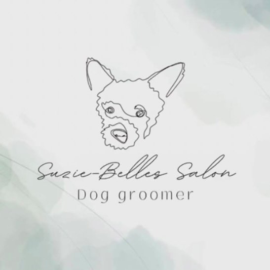 Suzie-Belles Salon