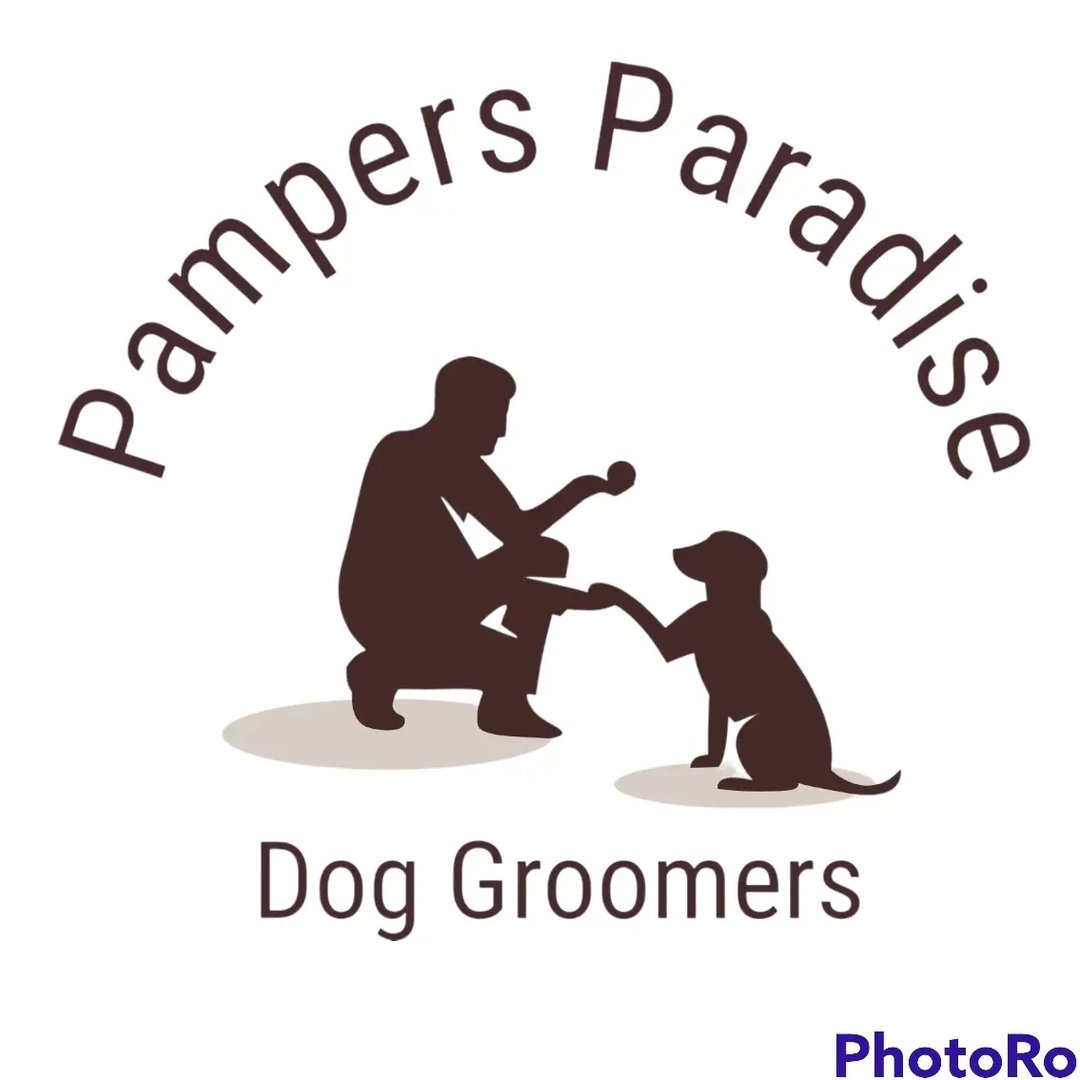 Pampers Paradise Dog Groomers