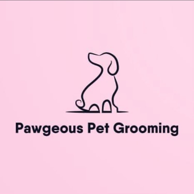 Pawgeous Pet Grooming Lancaster