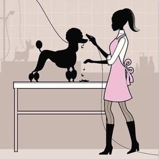 Erins Doggy Hair Care