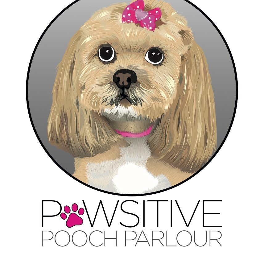 Pawsitive Pooch Parlour