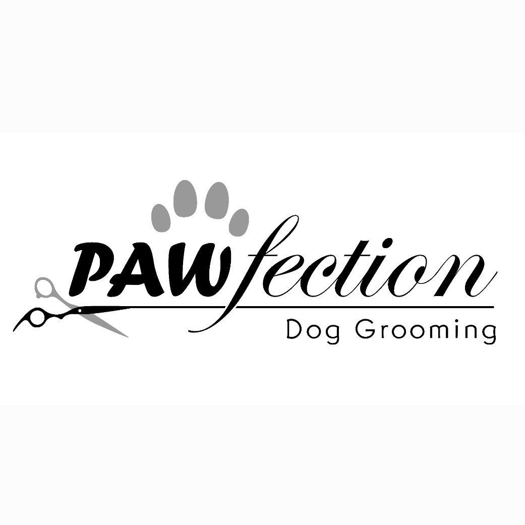 Pooches Pawfection Dog Grooming