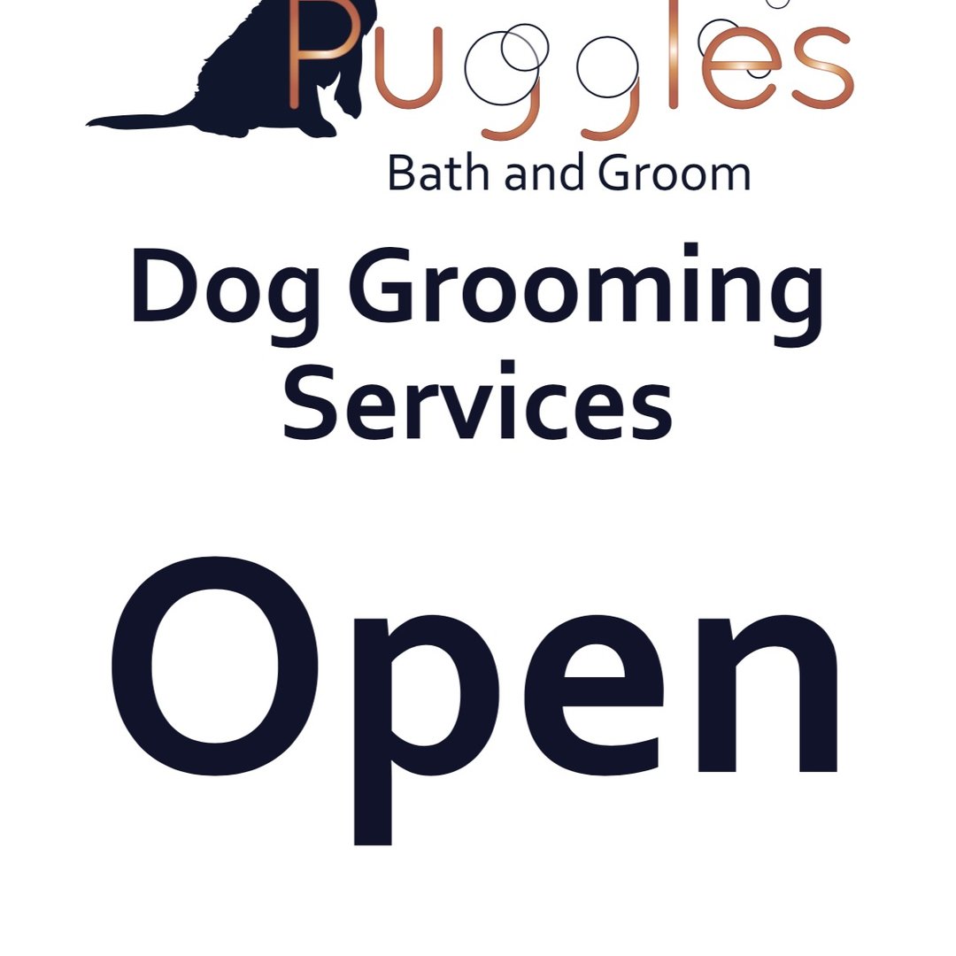 Puggles Bath & Groom