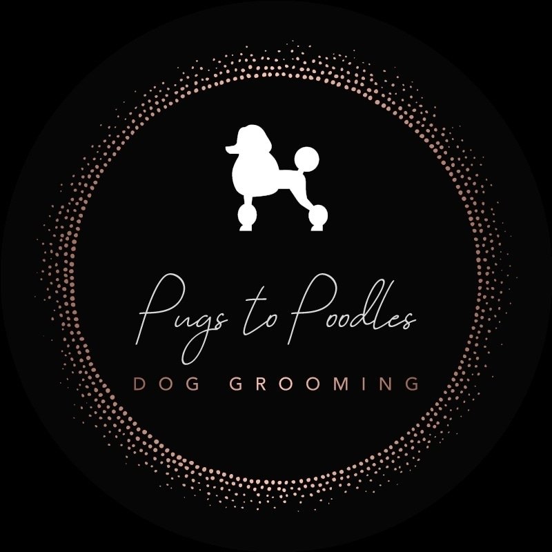 Pugs to Poodles dog grooming