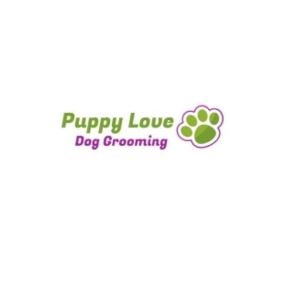 PuppyLove dog grooming NI