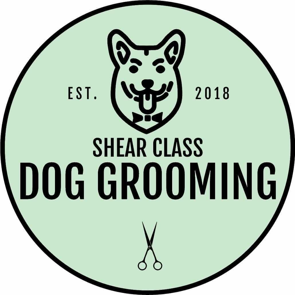 Shear Class Dog Grooming