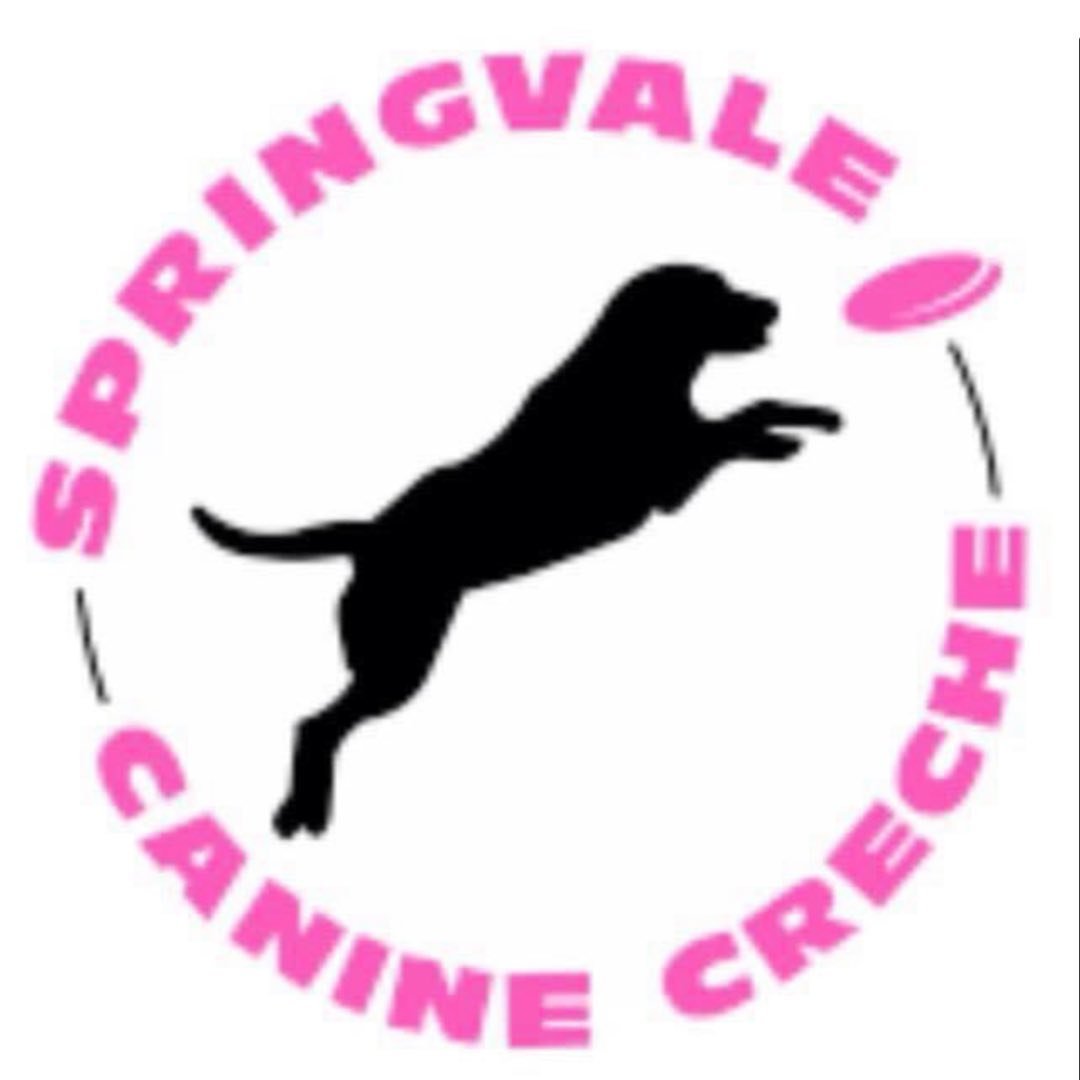 Springvale Canine Creche Ltd