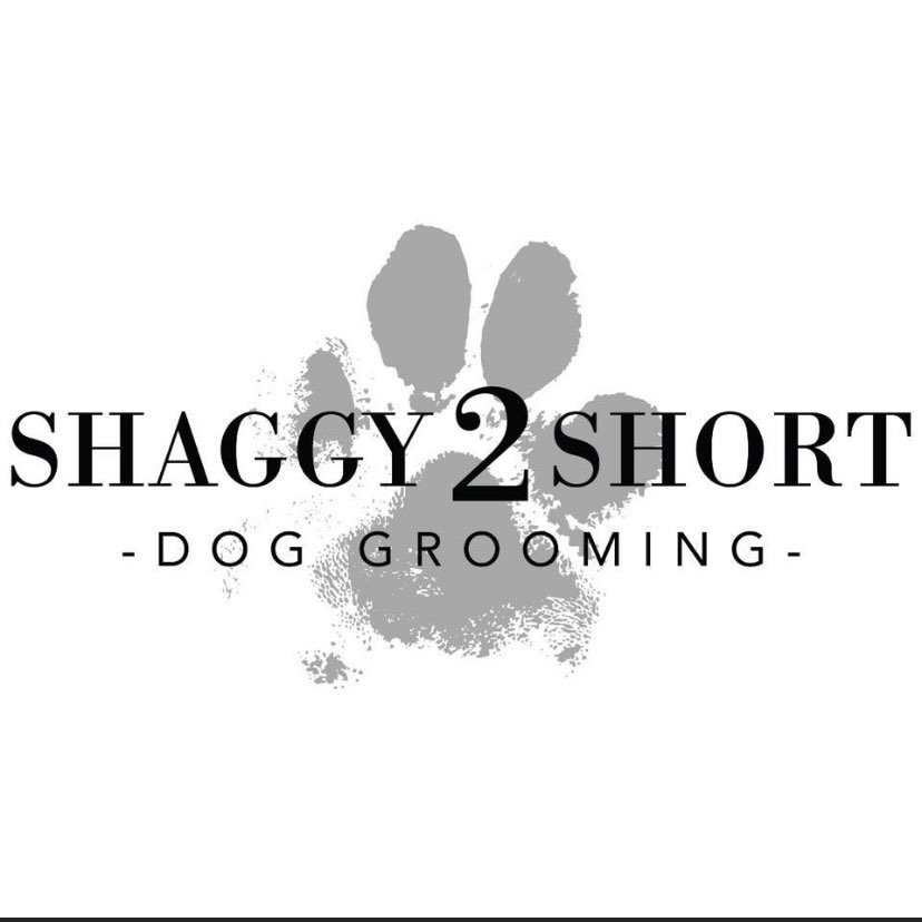Shaggy2Short