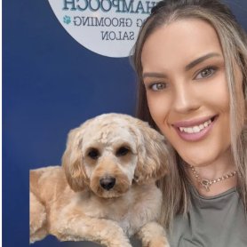 Shampooch Dog Grooming Salon