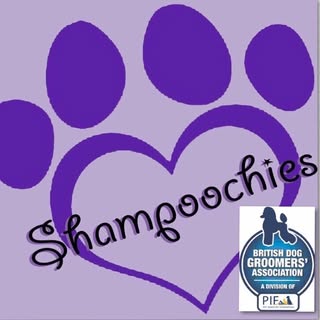 Shampoochies Grooming Parlor