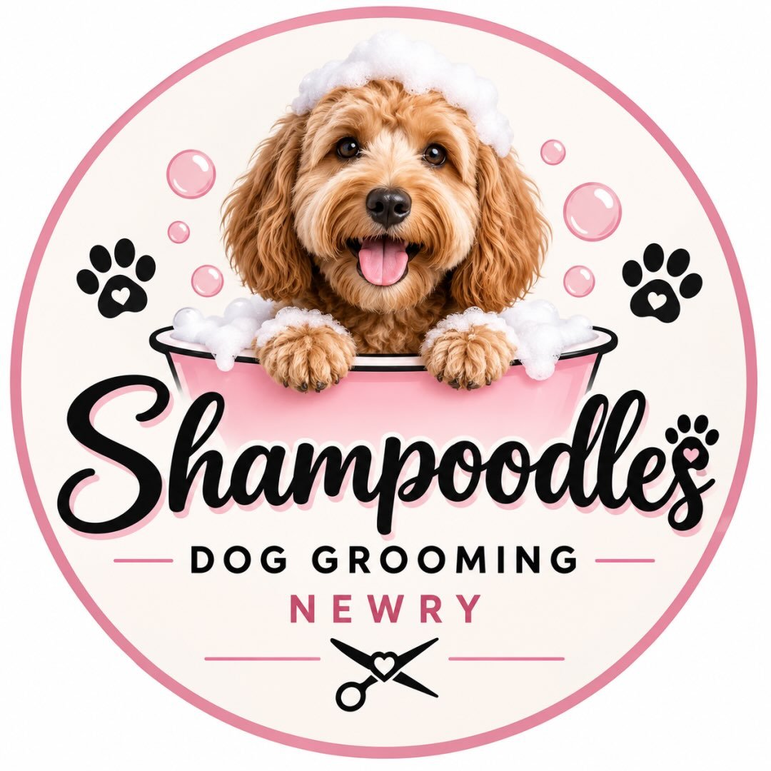 Shampoodles dog grooming newry