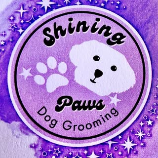 Shining paws