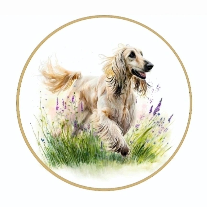 Stobbs and Hounds