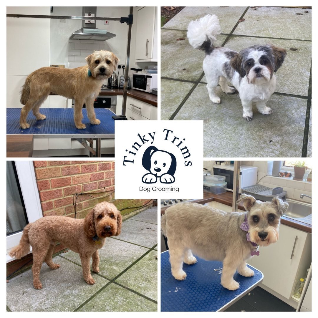 Tinky Trims Dog Grooming