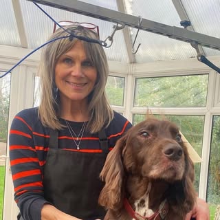 Debz Dogz (Grooming)