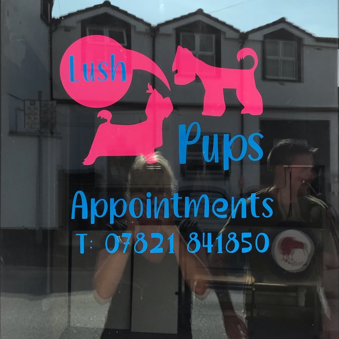 Lush Pups Dog Grooming