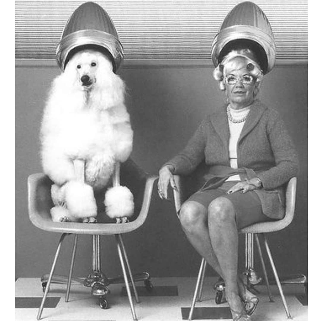 The Fabulous Fur Parlour