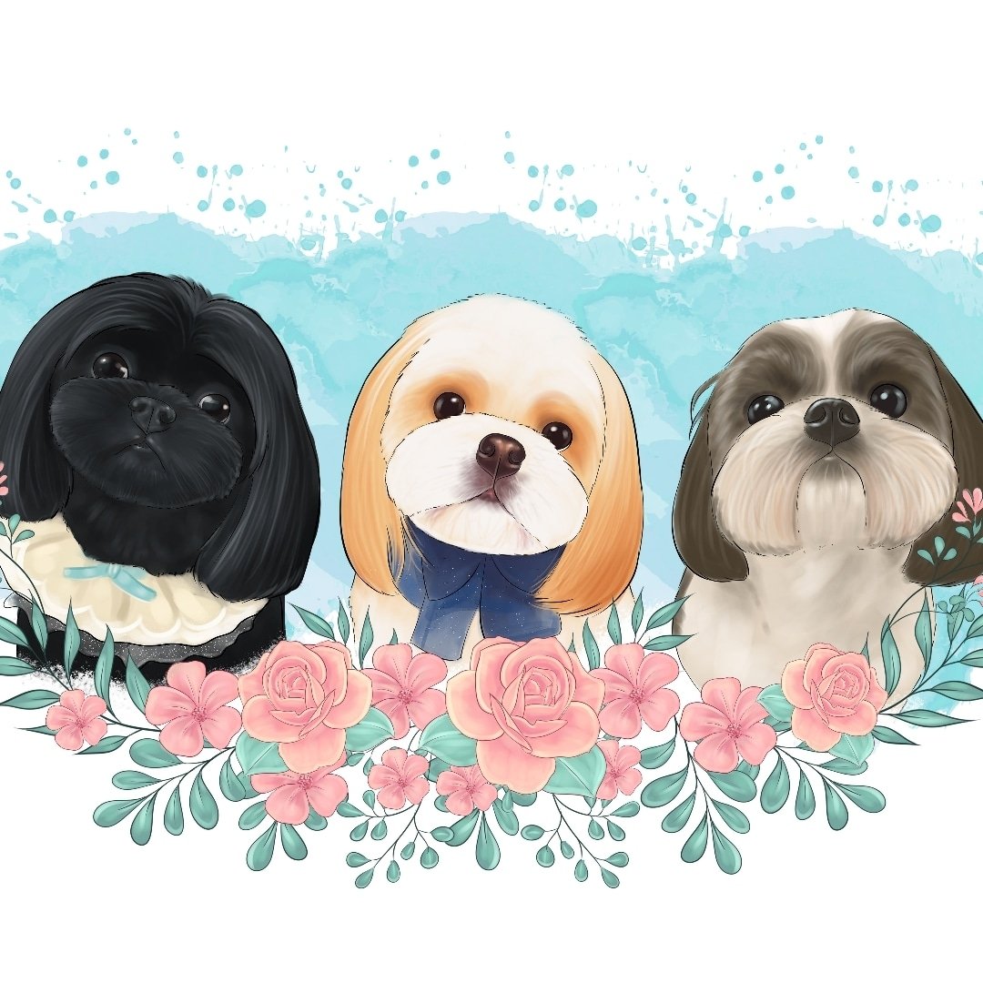 Lulu & Paws Pet Grooming Durham