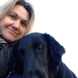 Wendys Dog Grooming and Petcare Services