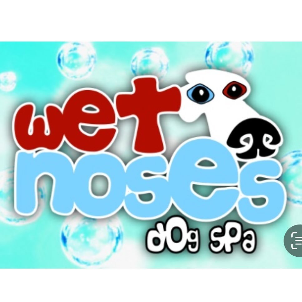 Wet Noses Dog Spa