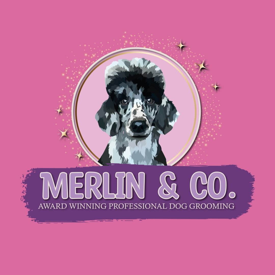 Merlin & Co. Dog Grooming